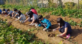 황간갤러리<학교소식<황간초등학교 황간초등학교