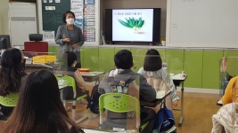 판동앨범<학교소식<판동초등학교 판동초등학교