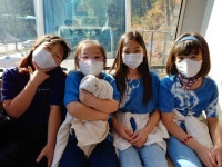 학교앨범<알림마당<탄부초등학교 탄부초등학교