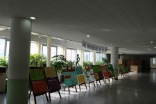 교육활동앨범<학교소식<양청고등학교 양청고등학교