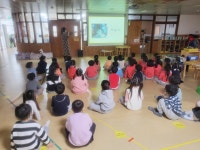 포토앨범<추억만들기<병설유치원<청원초등학교 청원초등학교