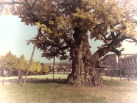 2021 예술꽃 전시회[학년별]<예술꽃씨앗학교<청안초등학교 청안초등학교