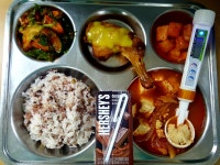 식단