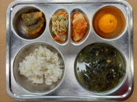 급식게시판<식생활 교육관<관기소식<관기초등학교 관기초등학교