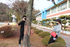 전자앨범