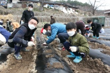 관기앨범<관기소식<관기초등학교 관기초등학교