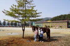 힐링승마<방과후학교<방과후학교<수안보초등학교 수안보초등학교