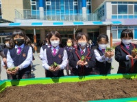 함께 GREEN 탄소중립 갤러리<탄소중립 실천 연구학교<청주교육대학교부설초등학교 청주교육대학교부설초등학교