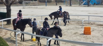 늘봄학교 앨범<늘봄학교<자료실<덕신초등학교 덕신초등학교