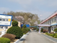 쌍봉앨범<학교소식<쌍봉초등학교 쌍봉초등학교