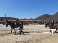 학교사진앨범<학교소식<대가초등학교 대가초등학교