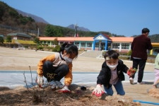 학교사진앨범