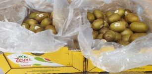 급식소식<급식 소식<탄금소식<탄금유치원 탄금유치원