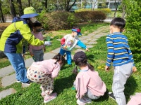 원평앨범<교육활동안내<유치원<원평초등학교 원평초등학교
