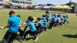 학교앨범<학교소식 ㅣ<동광초등학교 동광초등학교