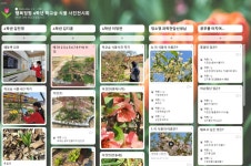 행복숲정원앨범<행복정원<행정초등학교 행정초등학교
