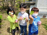 동아리 앨범<학생동아리방<열린마당<감물초등학교 감물초등학교