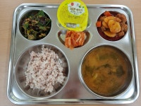 오늘의 식단