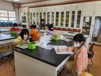 미술<늘봄학교활동모습<늘봄학교<열린마당<옥포초등학교 옥포초등학교