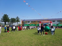 판동앨범<학교소식<판동초등학교 판동초등학교