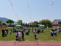 판동앨범<학교소식<판동초등학교 판동초등학교