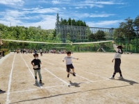 행사앨범<학교소식<생명초중학교 생명초중학교