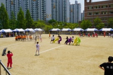 학교앨범<정보마당<서원고등학교 서원고등학교
