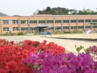 교육앨범<교육활동앨범<세성소식<세성초등학교 세성초등학교