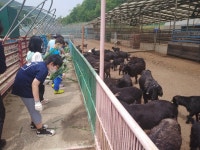 학교앨범<알림마당<탄부초등학교 탄부초등학교