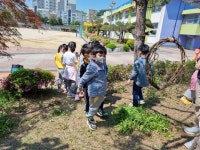 행사앨범<행사안내<병설유치원<운천초등학교 운천초등학교