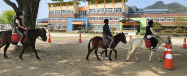 포토 갤러리<방과후학교<앙성초등학교 앙성초등학교