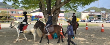 포토 갤러리<방과후학교<앙성초등학교 앙성초등학교