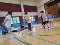 안내앨범<학교소식<안내초등학교 안내초등학교