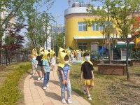 앨범<병설유치원<충주남한강초등학교 충주남한강초등학교