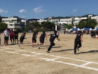 학교앨범