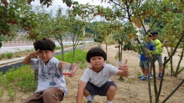 선택형 돌봄 프로그램 앨범<늘봄학교<동화초등학교 동화초등학교