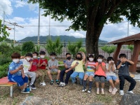학교숲 사진 컨테스트<초록학교<학생마당<감물초등학교 감물초등학교