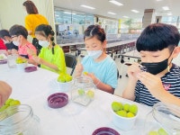 감물앨범<감물소식<감물초등학교 감물초등학교