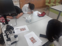 방과후학교<학생<경덕중학교 경덕중학교