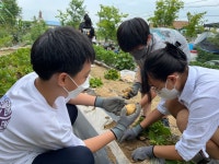 교육활동앨범<예성소식<충주예성초등학교 충주예성초등학교