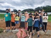 행사앨범<학교소식<하당초등학교 하당초등학교