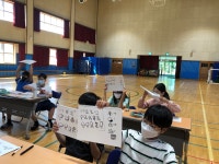 안내앨범<학교소식<안내초등학교 안내초등학교