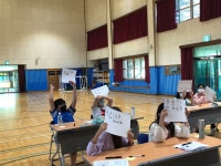 안내앨범<학교소식<안내초등학교 안내초등학교