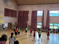 대림 앨범<대림앨범<대림소식<충주대림초등학교 충주대림초등학교