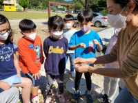 동아리 앨범<학생동아리방<열린마당<감물초등학교 감물초등학교