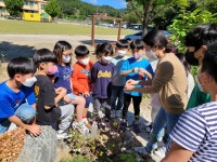 동아리 앨범<학생동아리방<열린마당<감물초등학교 감물초등학교