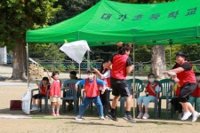 학교사진앨범<학교소식<대가초등학교 대가초등학교