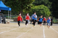학교사진앨범<학교소식<대가초등학교 대가초등학교