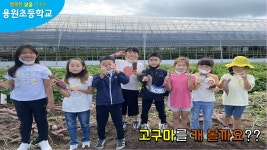 용원유튜브<용원소식<용원초등학교 용원초등학교