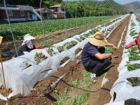교육활동사진<채소경영과<학과소개<충북생명산업고등학교 충북생명산업고등학교
